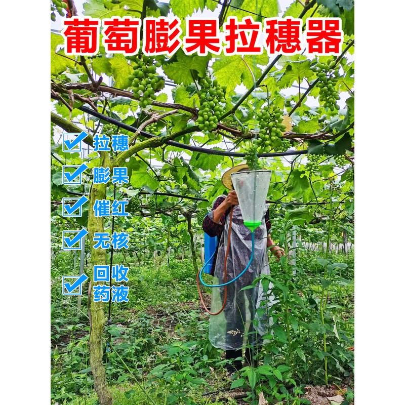 葡萄膨果拉d穗器阳光玫瑰保果洗果神器膨大浸果农用喷雾器雾化喷