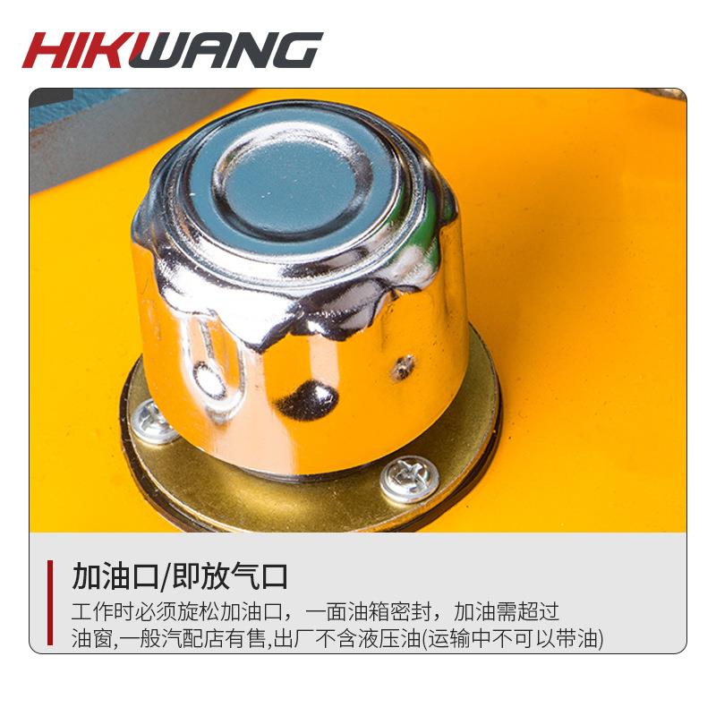 ZCB6-5-ABS5电动液压泵3KW 双电磁阀大功率 双油路超高压脚踏泵现