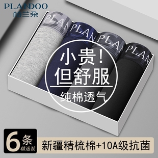 头大码 男生纯棉抗菌四角裤 男式 平角短裤 帕兰朵男士 衩2025新款 内裤
