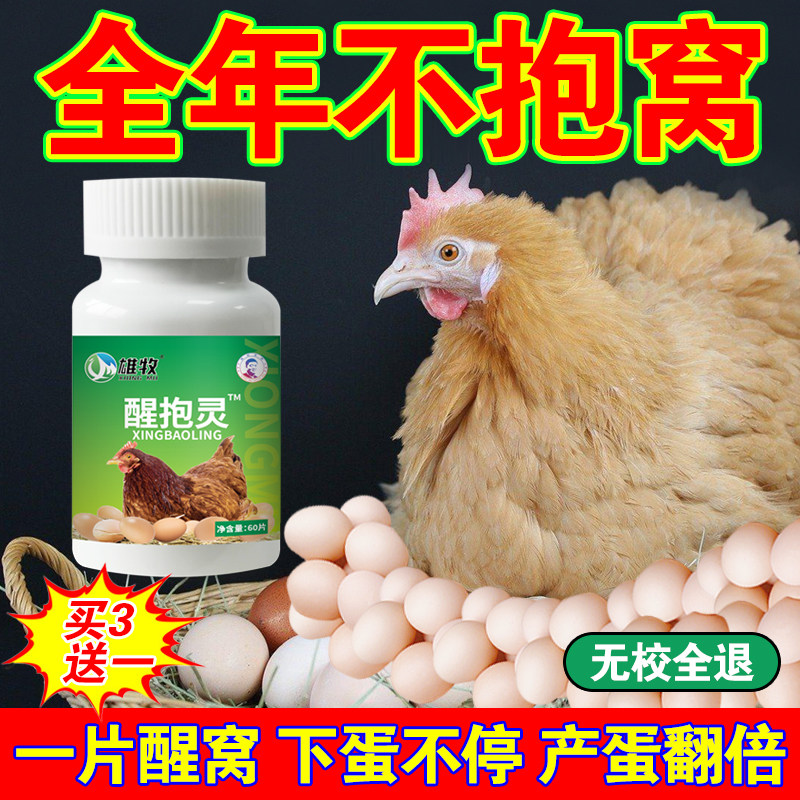 母鸡醒抱药速效醒抱灵家禽不抱窝