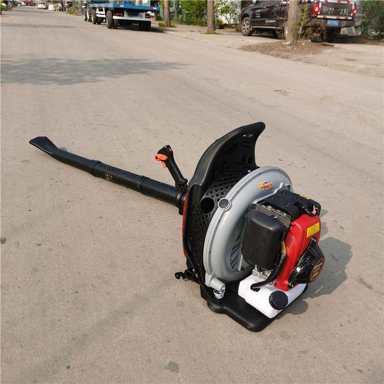 便携式汽油吹风机 手提式大棚吹雪机 四冲程大功率吹尘机,电子元器件市场,其它元器件,淘宝优惠券,粉丝福利购,淘宝优惠卷