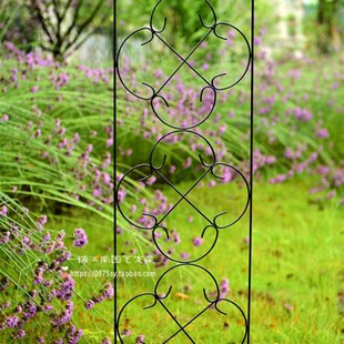 欧式花朵型花幕架 植物爬藤架扶植器 花插片 花园装饰室外花架子