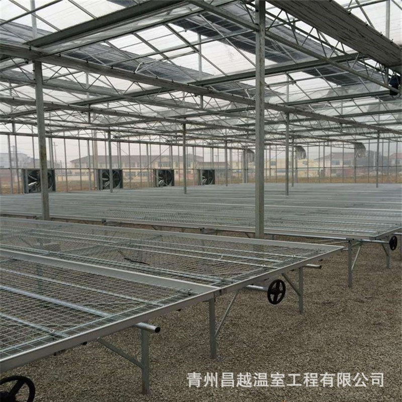 连体温室大棚农业花卉种植阳光智能温室养殖镀锌钢管大棚骨架