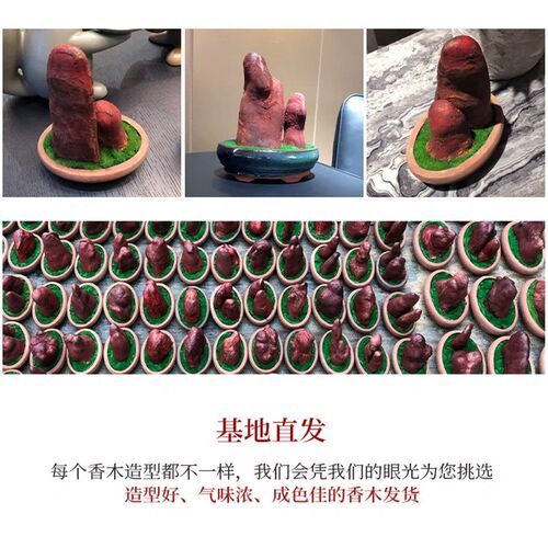 香木盆栽植物室内四季微景观中式盆景驱I蚊植物幽香味办公室小摆