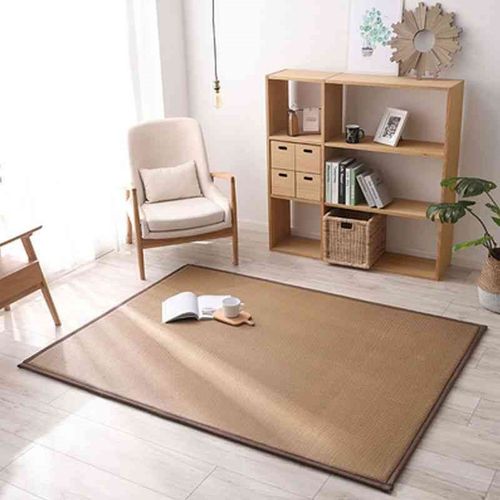 夏季凉席地毯家用日式藤席客厅卧室沙发榻榻米地垫可坐水洗新款