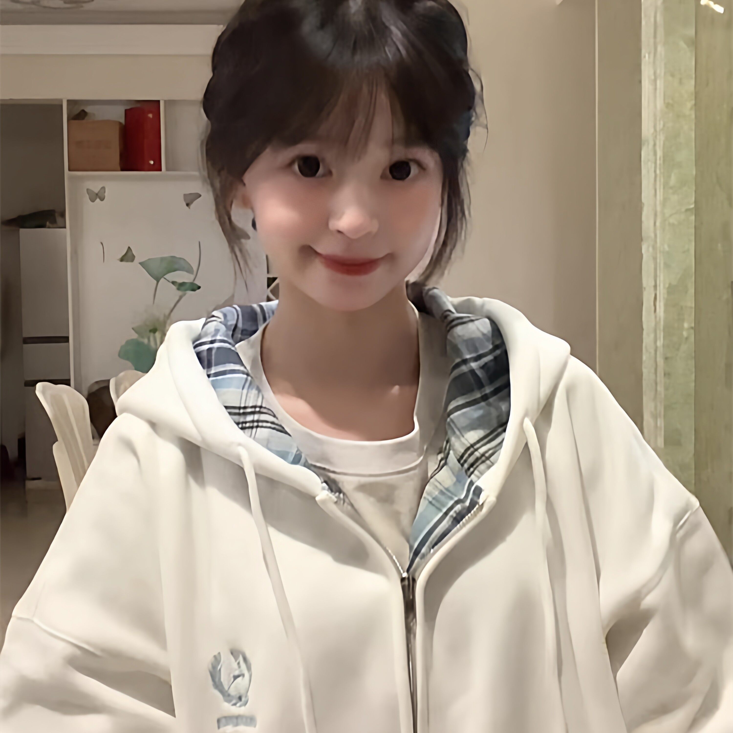 美式高街格子连帽卫衣女