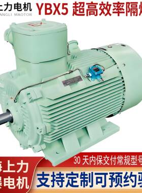 技改配套YBX5-315M-875W高效电机双基地生产防爆证验厂支持