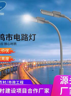 led市电单臂路灯6米7米8米10米灯杆大功率户外路灯道路中山灯具