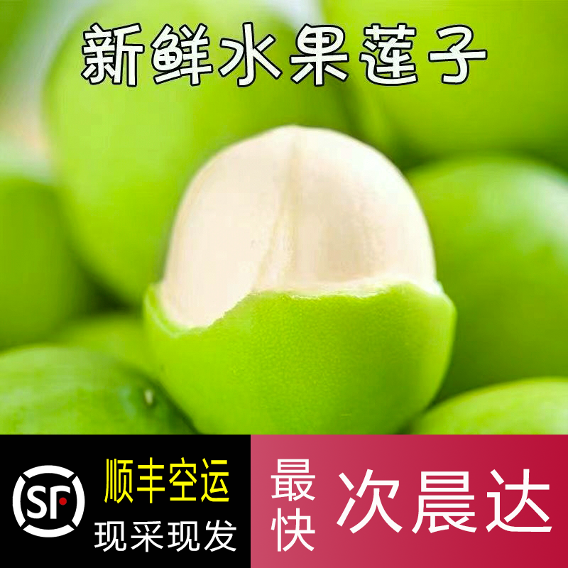 湖北嫩莲子米新鲜莲蓬米现采现发当季生吃鲜甜太空嫩莲米顺丰空运