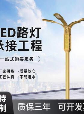 LED市电路灯3米6米8米户外双臂双头路灯杆道路照明路灯