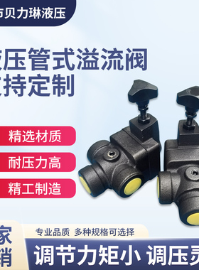 液压管式溢流调压阀RVT/BT-06/10/04液压站液压机系统手动压力阀