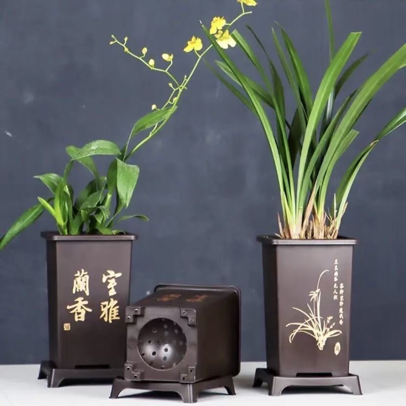 方形花盆处理清仓墨兰蕙兰君子兰四方梅兰竹菊金枝玉叶兰花底托盘