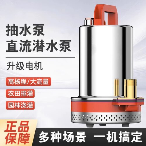 即插即用电瓶车电瓶抽水泵