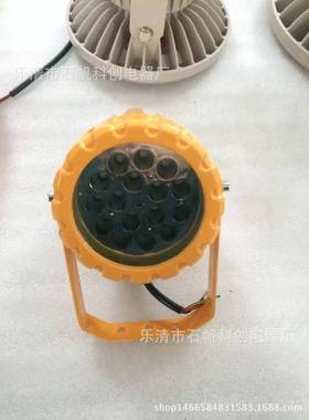 DGS50/60/127L(A)矿用隔爆型LED投光灯.BFC8800