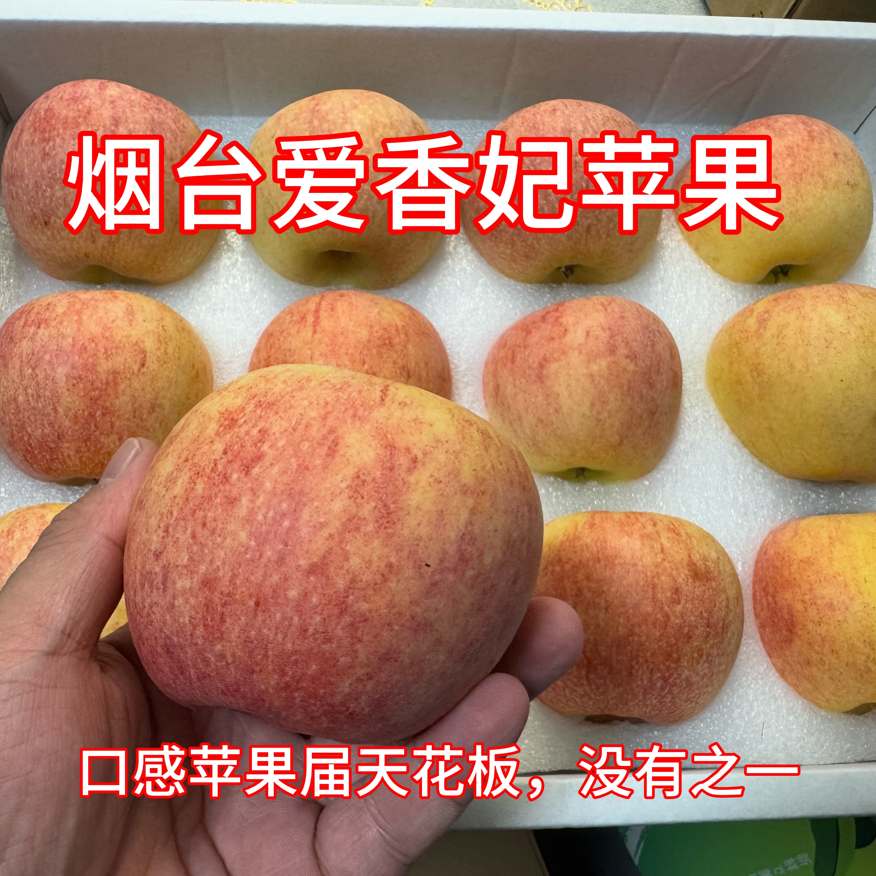 正宗烟台爱香妃苹果8斤新鲜水果当季箱装国产新西兰鲜果高甜清脆,水产肉类/新鲜蔬果/熟食,苹果,淘宝优惠券,粉丝福利购,淘宝优惠卷