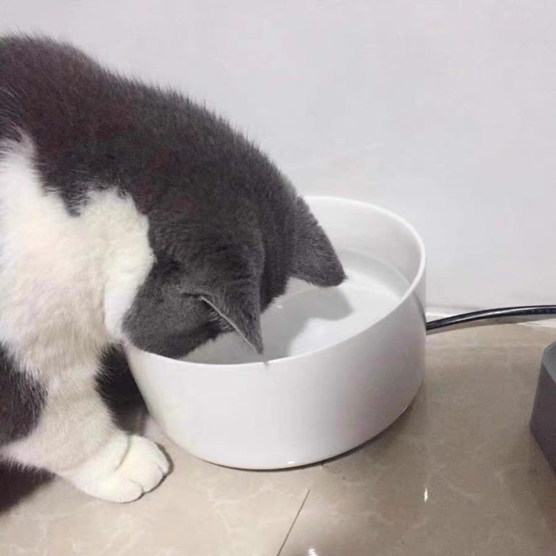 极速智能加热f恒温猫碗狗碗不锈钢猫狗食盆饮水机护脊易清洗猫宠