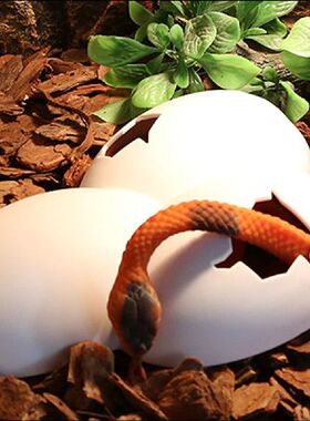 极速Reptile Hiding Cave Animal BPet Case Egg Shell Hideouts