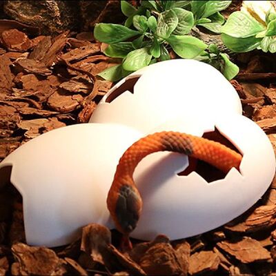 极速Reptile Hiding Cave Animal BPet Case Egg Shell Hideouts