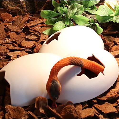 极速Reptile Hiding Cave Animal BPet Case Egg Shell Hideouts