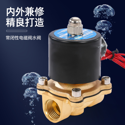 极速常闭电磁阀水阀铜开关气阀控制阀AAC2C20V电磁电阀P24V铜线4