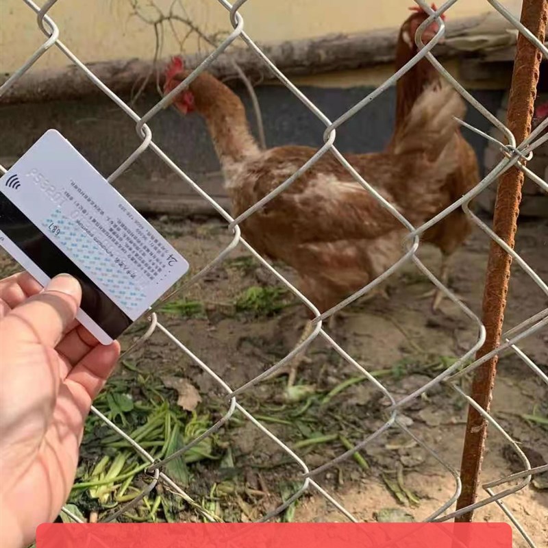 极速镀锌钢丝网围栏网防护网养殖猪羊护栏网圈M地果园Z栅栏铁丝网