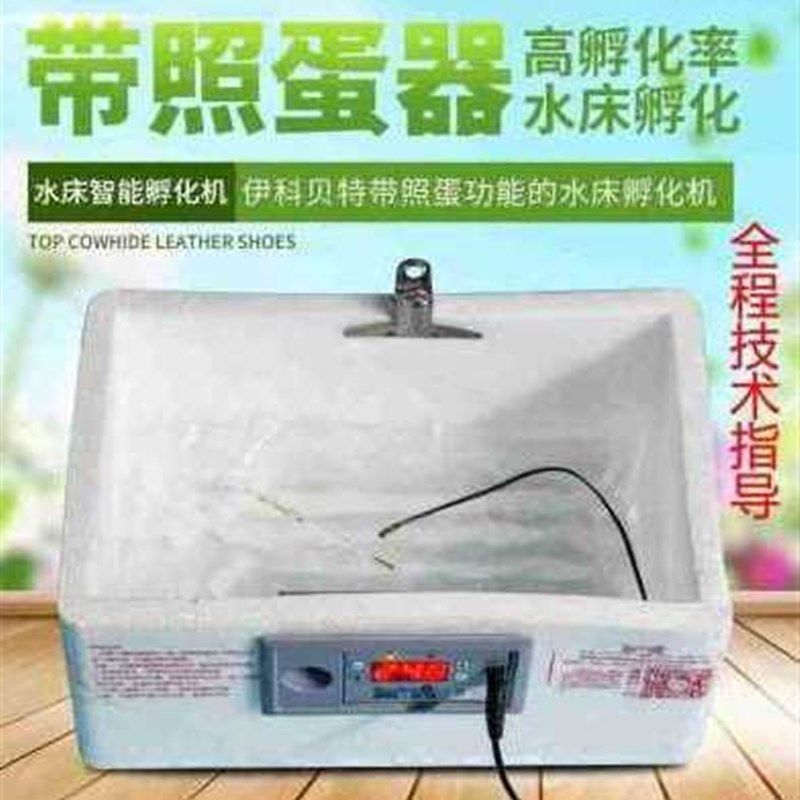 极速厂销新款2022包邮家用型鸡鸭鹅F受精蛋小型孵化器全自动控温5