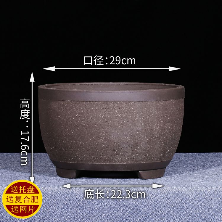 新品宜兴紫砂兰花m盆大号阳台种菜盆简约花卉多肉陶瓷花盆包邮