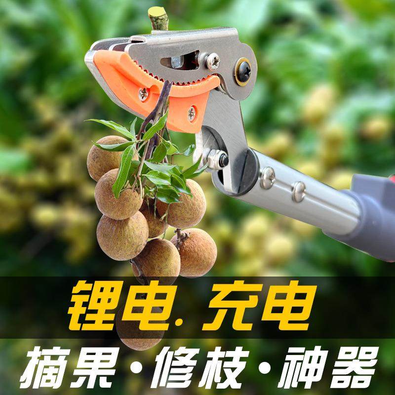 果树高枝弯头剪高空延长采摘粗枝剪园林修剪摘果粗枝两用修枝