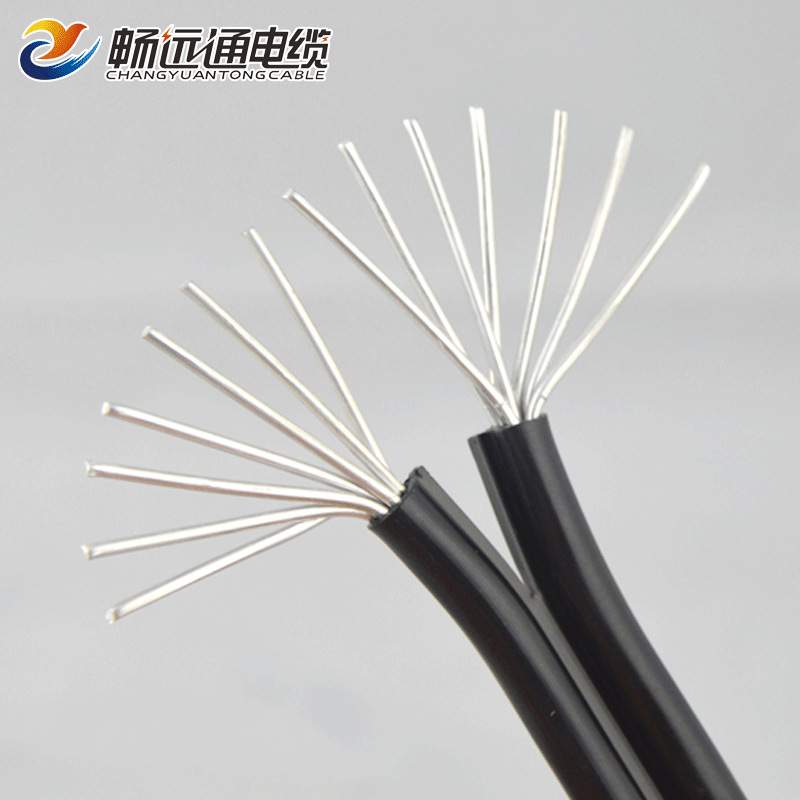 国标铝电线 BLY2*10平方防老化铝芯线 户外用耐候电缆