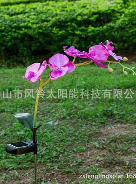 5LED蝴蝶兰灯仿真蝴蝶兰装饰灯地插LED草坪灯庭院别墅灯紫色兰花