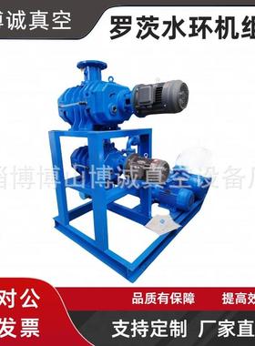 淄博ZJP150罗茨水环真空机组、2BV5131真空泵