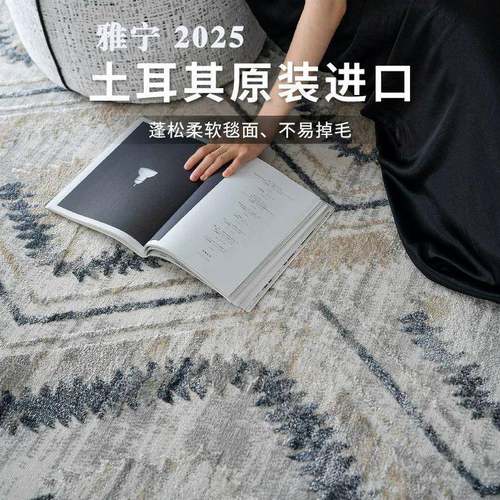 奶油风防水抗污客厅地毯沙发茶几毯轻奢免洗纯色高级家用卧室加厚