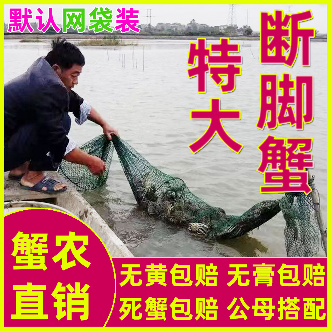 固城湖大闸蟹残蟹特大断脚蟹残次大闸蟹