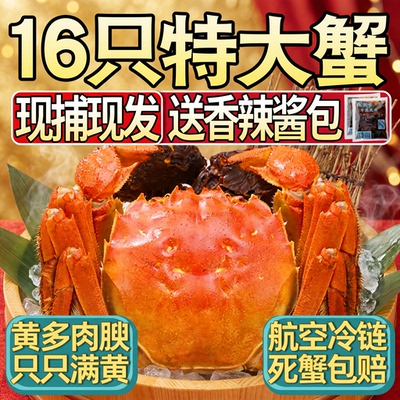 苏州六月黄大闸蟹活蟹螃蟹鲜活大闸蟹礼盒装公母蟹湖蟹16只可全母