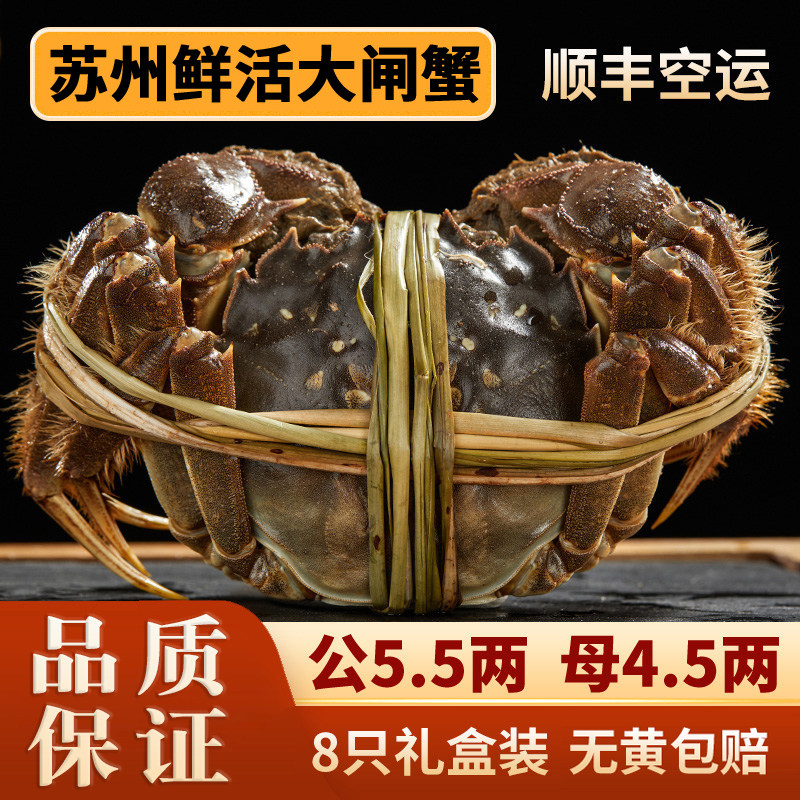 活蟹苏州阳澄李记大闸蟹鲜活螃蟹大闸蟹