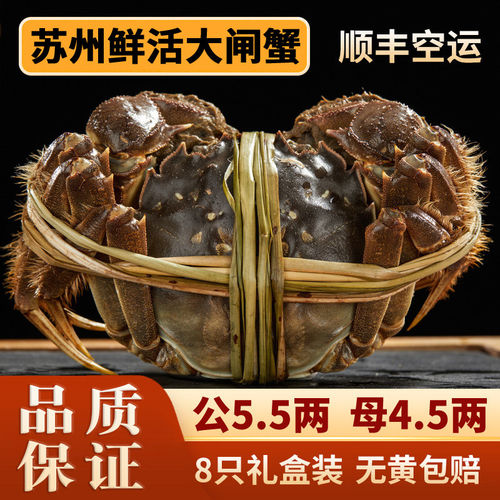 活蟹苏州阳澄李记大闸蟹鲜活螃蟹公蟹5.5可全母蟹4.5两8只礼盒装