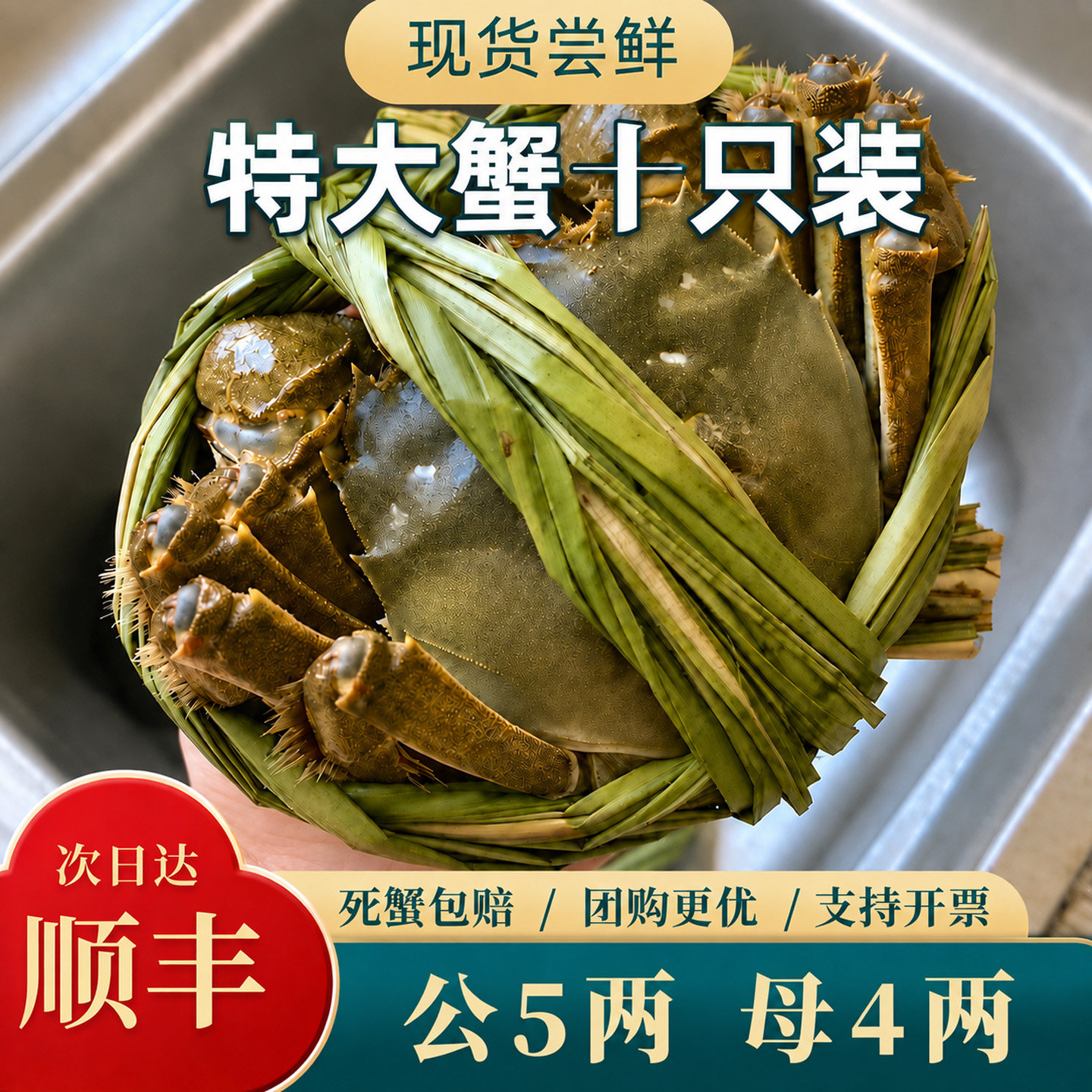 【活蟹】大闸蟹公蟹5.0两母蟹4.0两鲜活特大10只可选全母礼盒阳澄