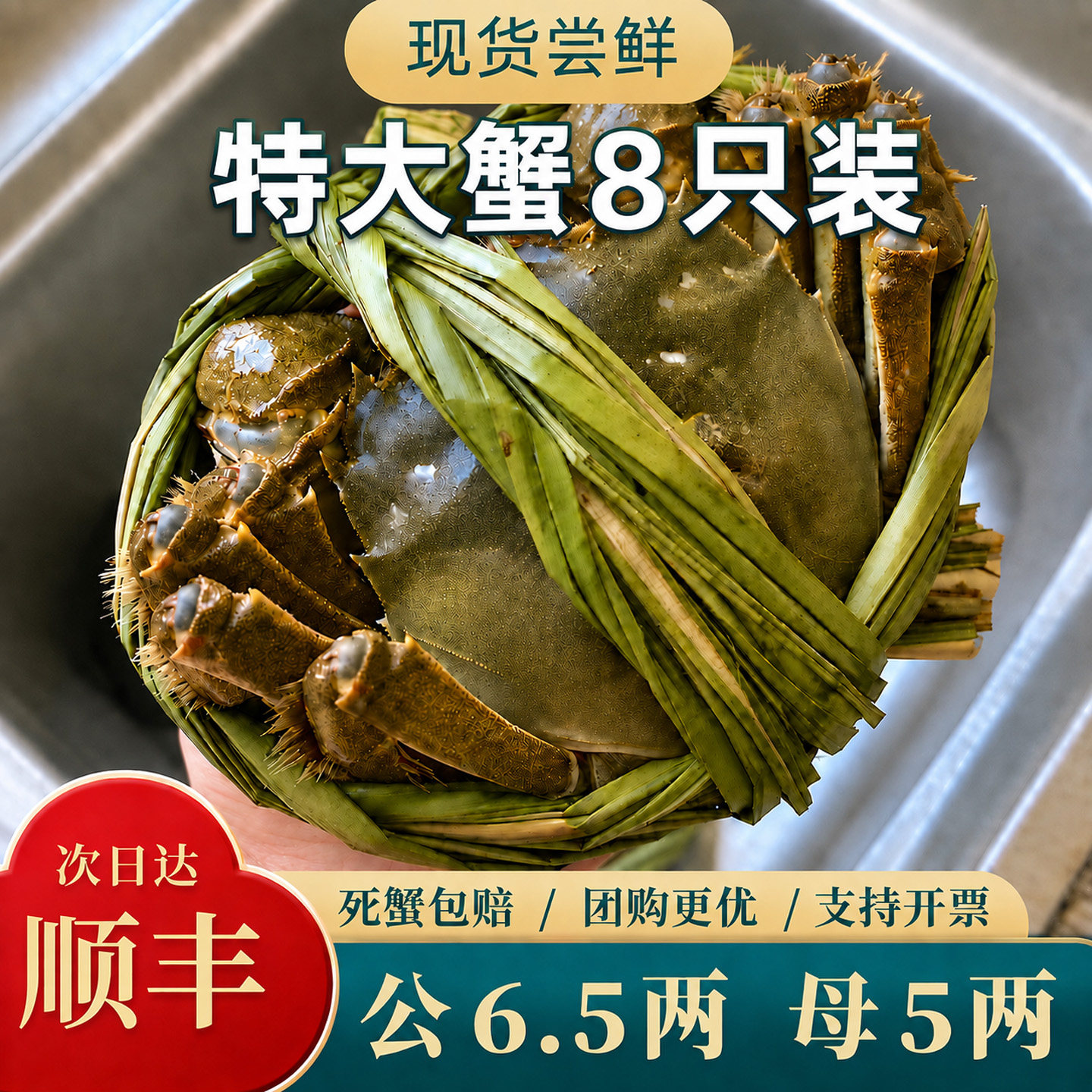 【活蟹】大闸蟹公蟹6.5两母蟹大闸蟹