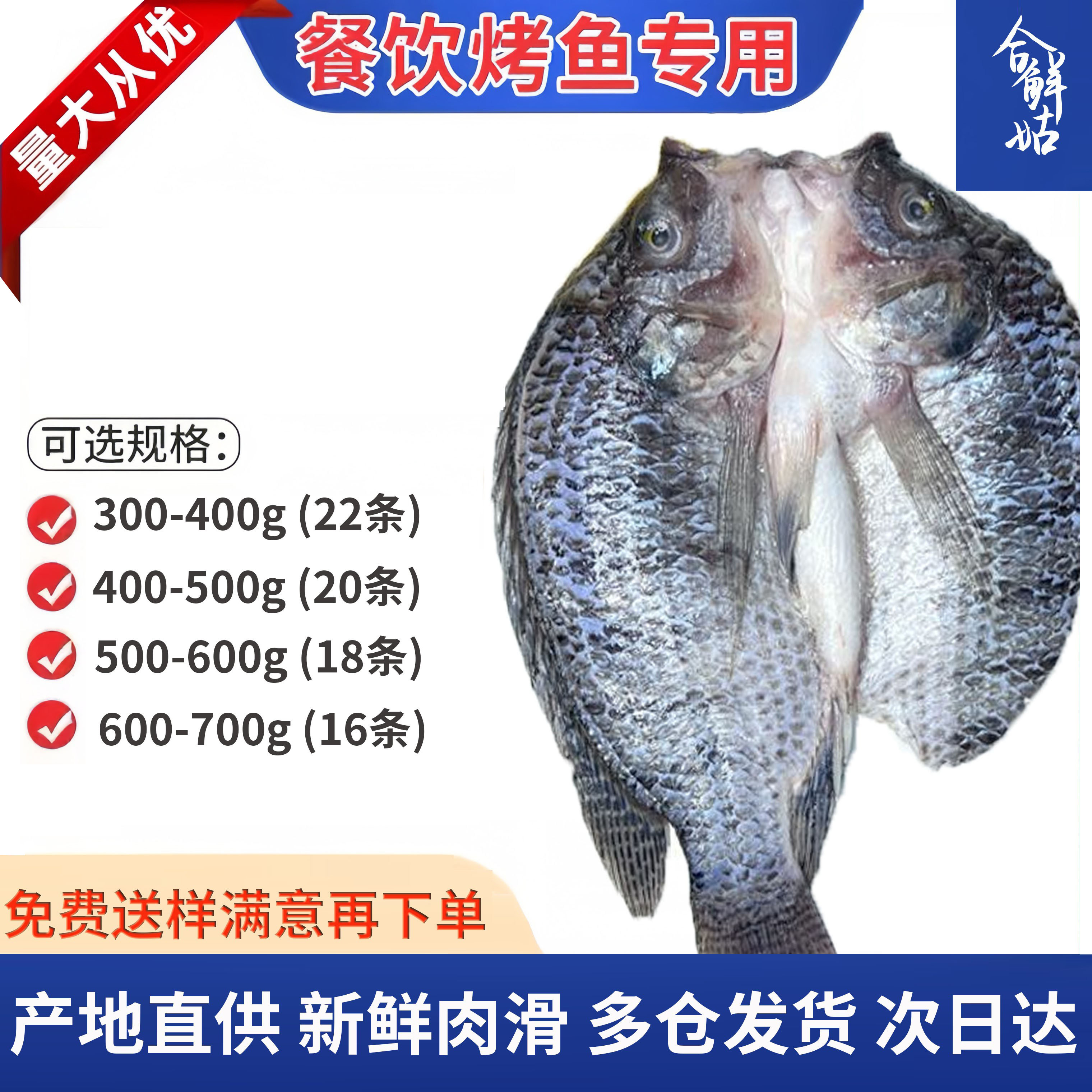 开背罗非鱼半成品鲷鱼片新鲜冷冻烧烤鱼饭堂地摊海鲜水产商用整箱