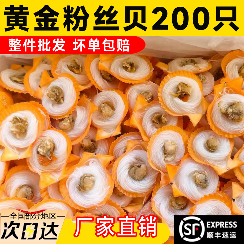 新鲜冷冻粉丝扇贝速冻烧烤蒜蓉烧烤户外聚餐黄金贝200只商用批发,水产肉类/新鲜蔬果/熟食,扇贝,淘宝优惠券,粉丝福利购,淘宝优惠卷