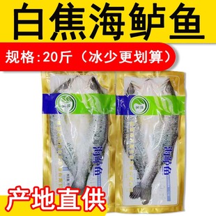 海鲈鱼烤鱼白蕉冰鲜开背冰冻鱼七星鱼鲜活腌制烤鱼纸包鱼商用包邮