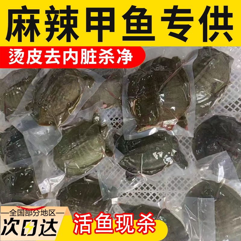 外塘鲜活现杀麻辣甲鱼卤甲鱼商用半成品食材水鱼团鱼老鳖代杀水产