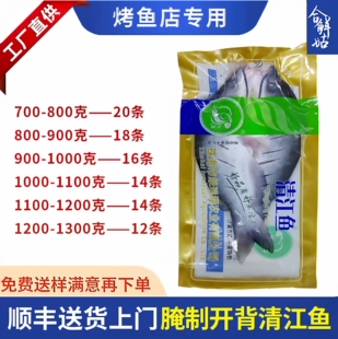 新鲜腌制开背清江鱼商用纸包烤鱼专用叉尾鮰鱼免杀半成品调味食材