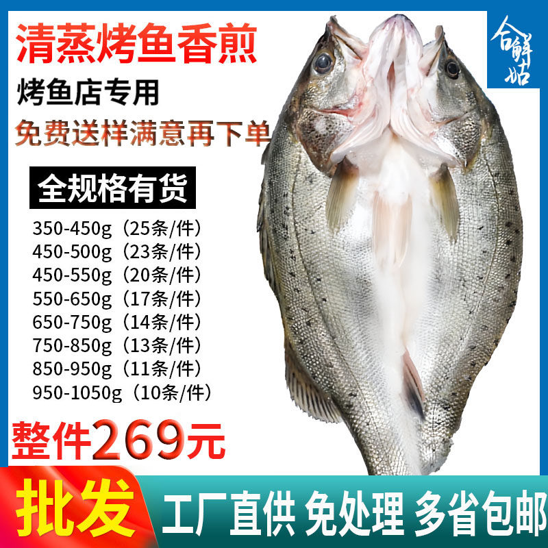 白蕉深海鲈鱼新鲜冰冻开背烤鱼半成品商用七星芦鱼卢鱼翅免杀整箱,水产肉类/新鲜蔬果/熟食,淡水鱼类,淘宝优惠券,粉丝福利购,淘宝优惠卷