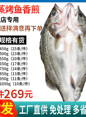 白蕉深海鲈鱼新鲜冰冻开背烤鱼半成品商用七星芦鱼卢鱼翅免杀整箱