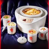 天极防水电炖锅大容量一锅五加仑粥汤锅家用全自动陶瓷杯3.2L