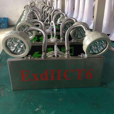 厂家提供防爆应急灯 BXW6229防爆应急工作灯 防爆双头应急LED灯