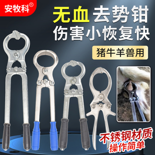 兽用去势钳猪牛羊用阉割钳不锈钢无血去势钳夹蛋钳煽羊钳结扎工具