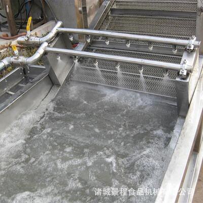 蓝莓链板泡式气清洗机YGI中房果蔬清洗残农留高压喷洗淋菜机