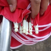 摆摊大伞尾珠太阳伞伞珠广告伞套头通用伞珠帽头遮阳大圆伞零件